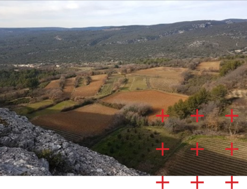 LA SAFER : Besoin d’interprétation !